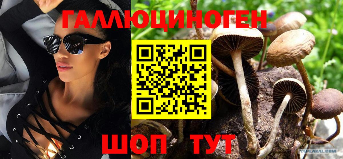Псилоцибиновые грибы Psilocybine cubensis Выкса